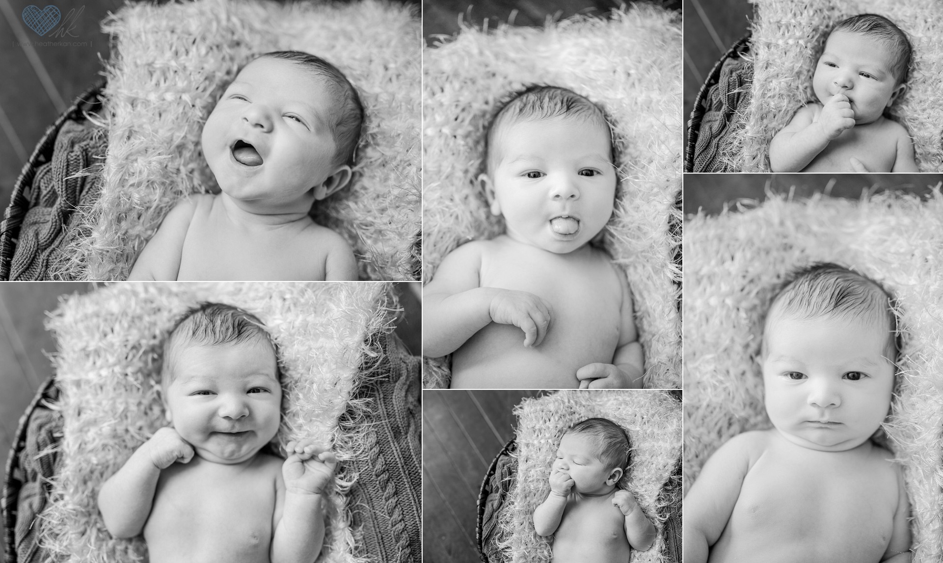 newborn baby photography Grand Ledge Michigan (7)