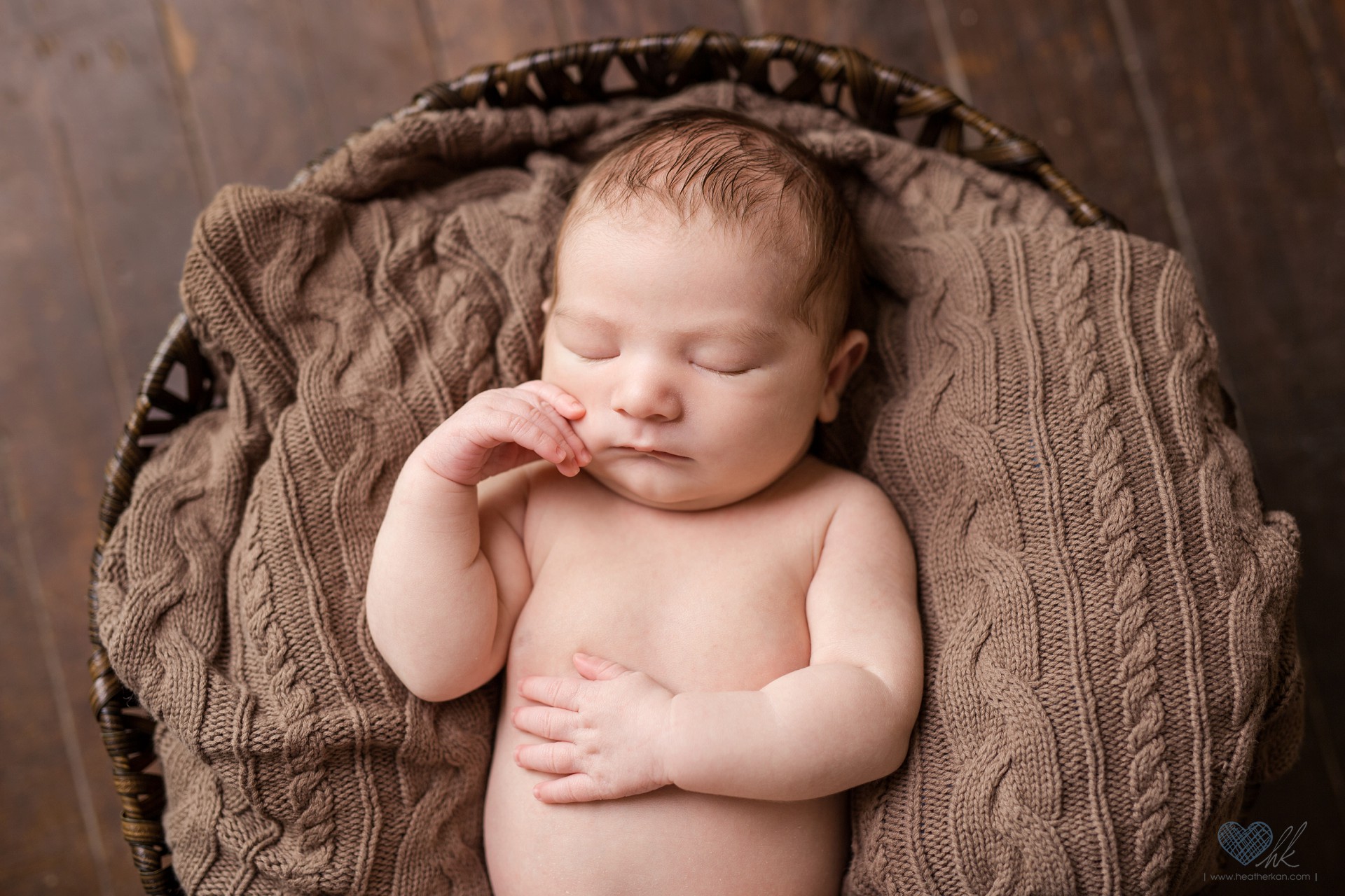 newborn baby photography Grand Ledge Michigan (10)