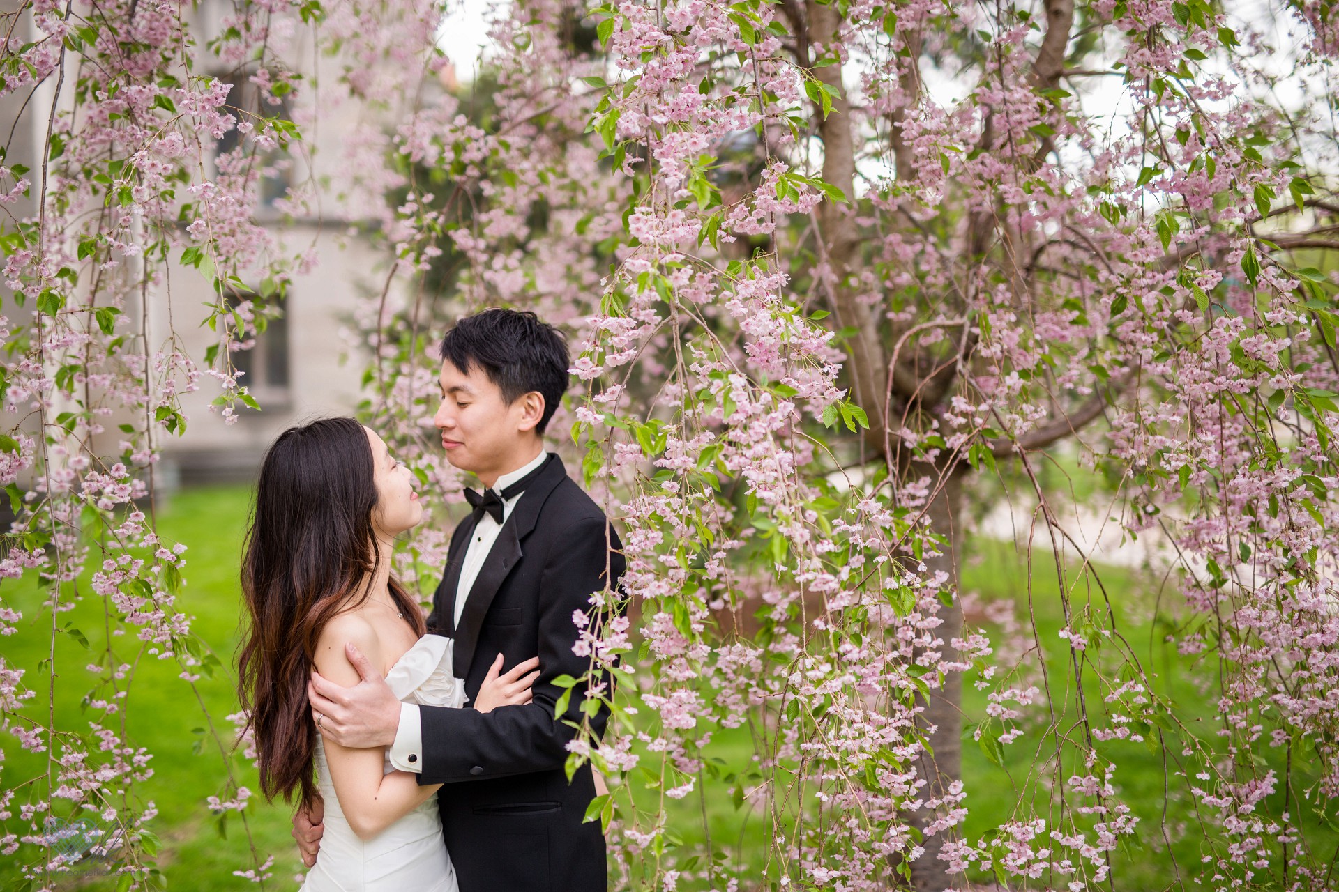 Holland Michigan campus wedding photographs cherry trees