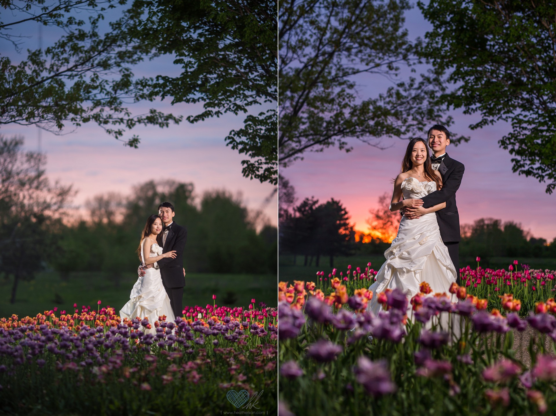 Holland Michigan tulip fields trash the dress wedding photographs