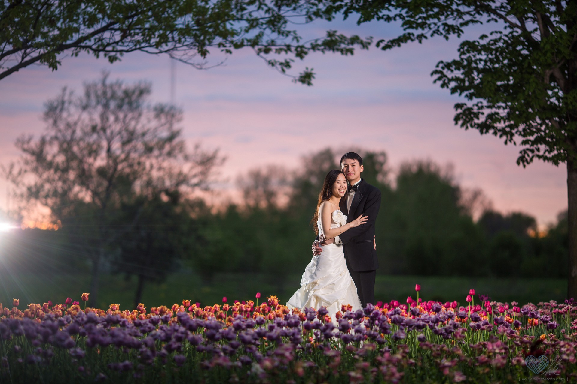 Holland Michigan tulip fields nighttime trash the dress wedding photographs