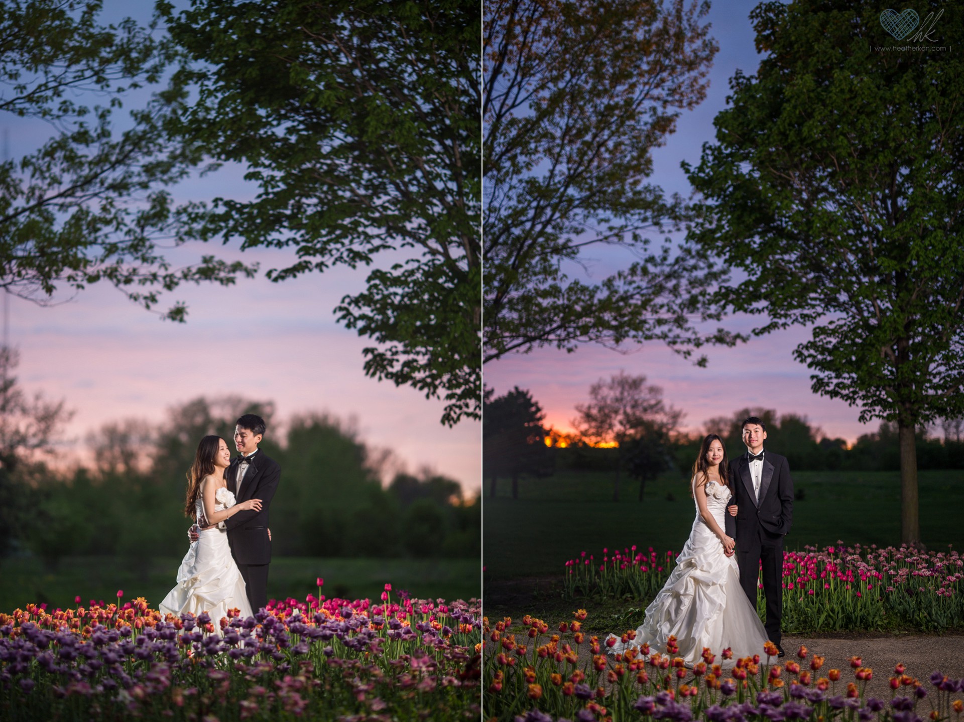 Holland Michigan tulip fields at night trash the dress wedding photographs