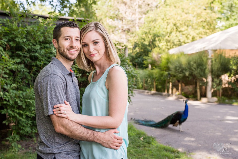 Potter Park Zoo engagement photographs with a peacock