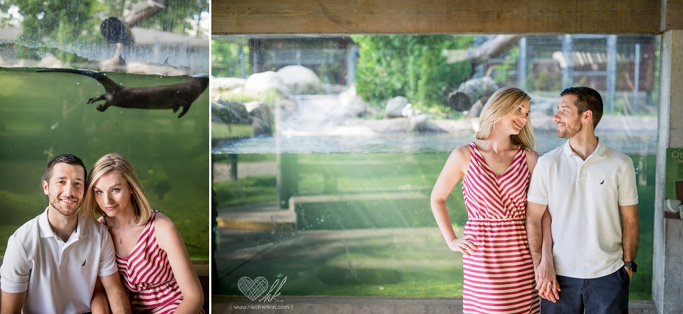 Potter Park Zoo engagement photographs with otters