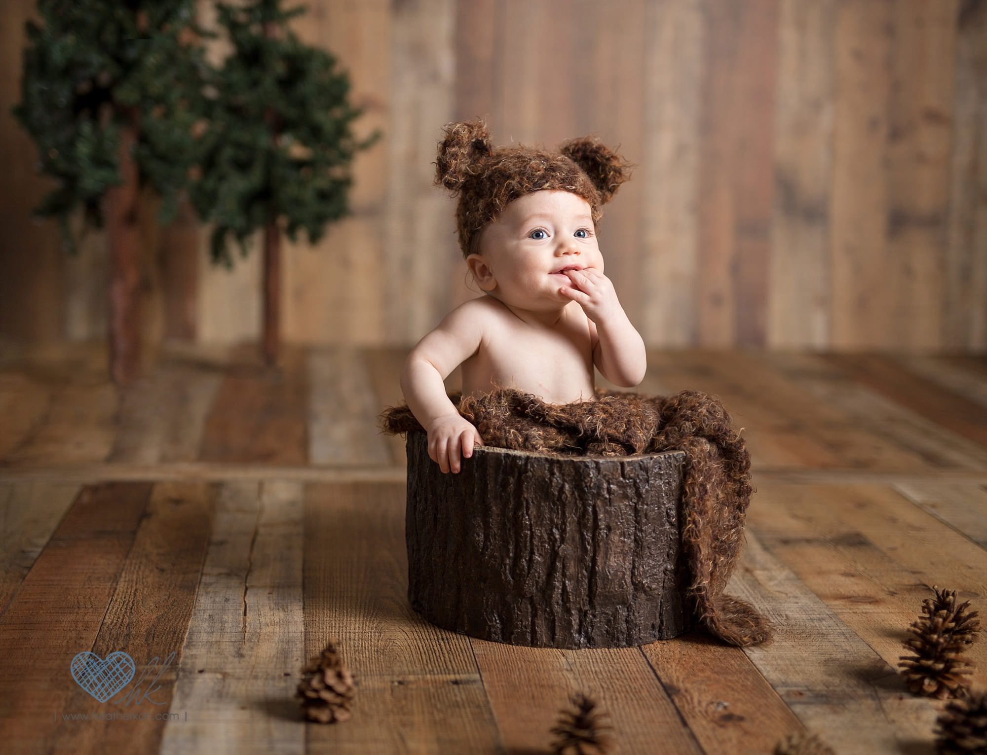 bear in the forest photographs with 6 month old