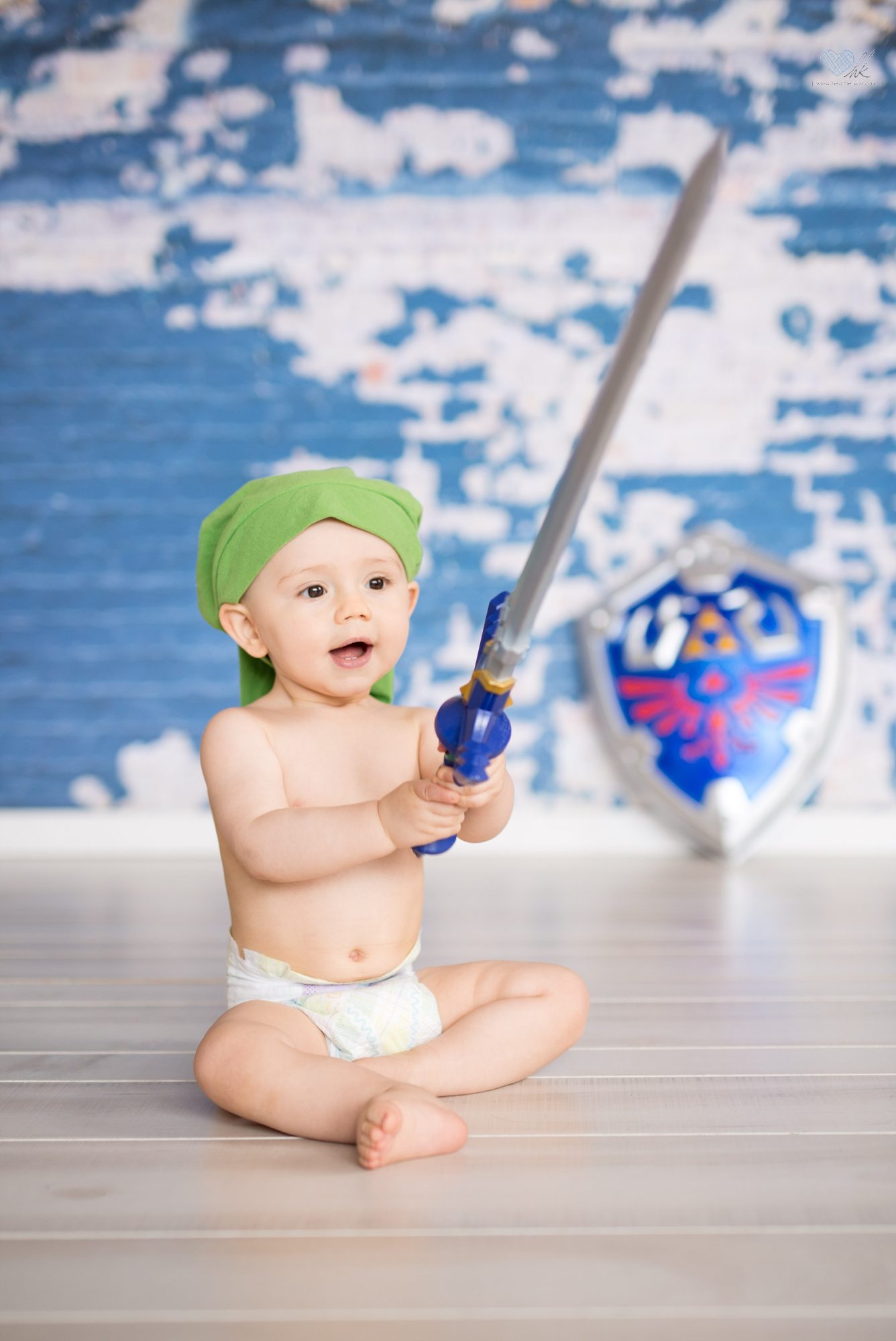 Zelda themed One year old boy session Grand Ledge Michigan