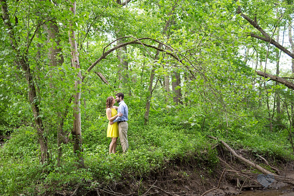 GVSU engagement photographs in the woods