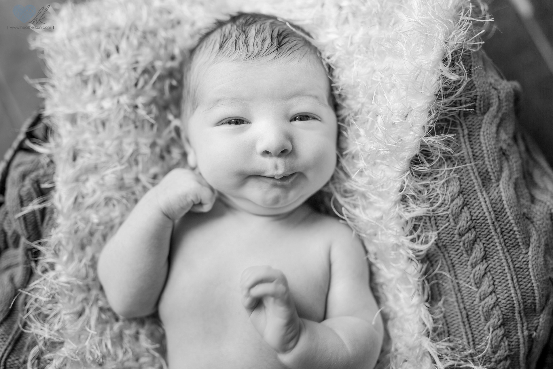 Carter H | Newborn Photography Grand Ledge Michigan