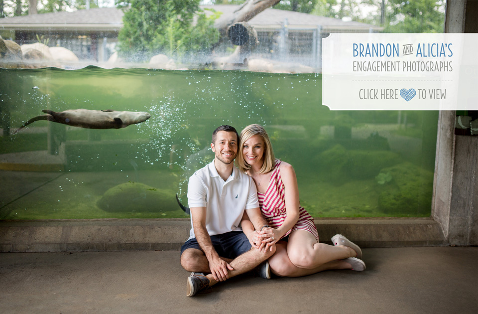 Brandon and Alicia | Engagement Photos at the Potter Park Zoo