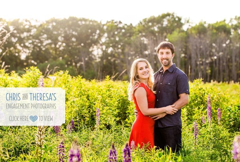 Theresa and Chris | Engagement Session at the Lincoln Brick Park