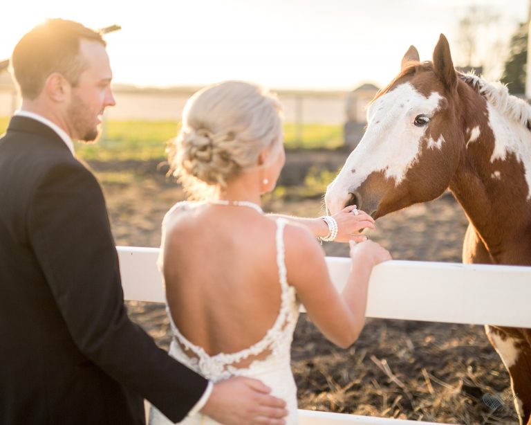 farm wedding photographs with horses Saginaw MI