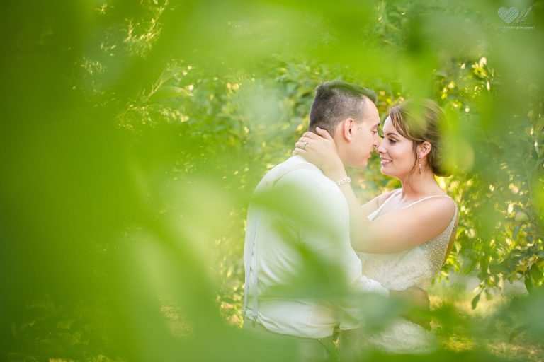 Summer Wedding at the Charlotte Country Mill