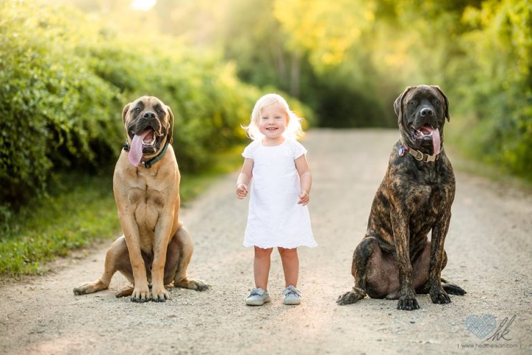 Ireland’s Toddler Session