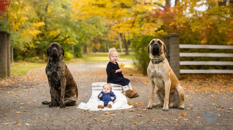 Brooklyn’s 3-Month Session