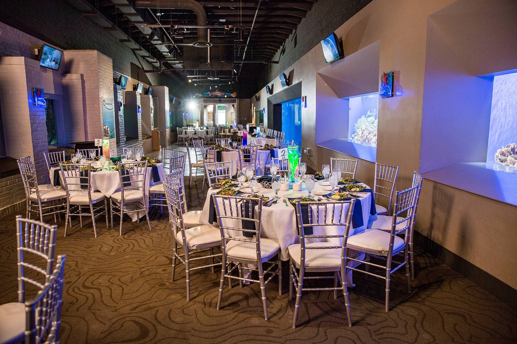 Toledo Zoo Aquarium wedding reception photographs