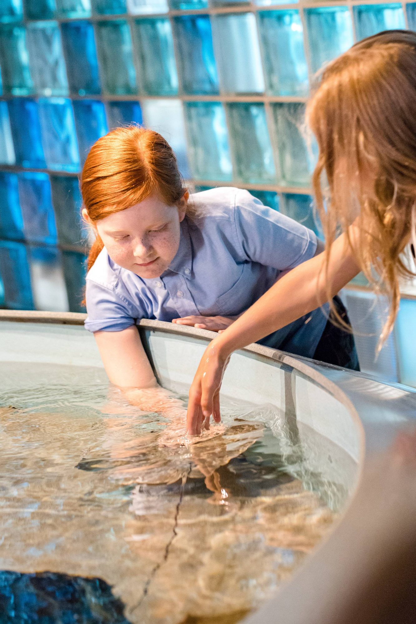 Toledo Zoo Aquarium wedding reception photographs