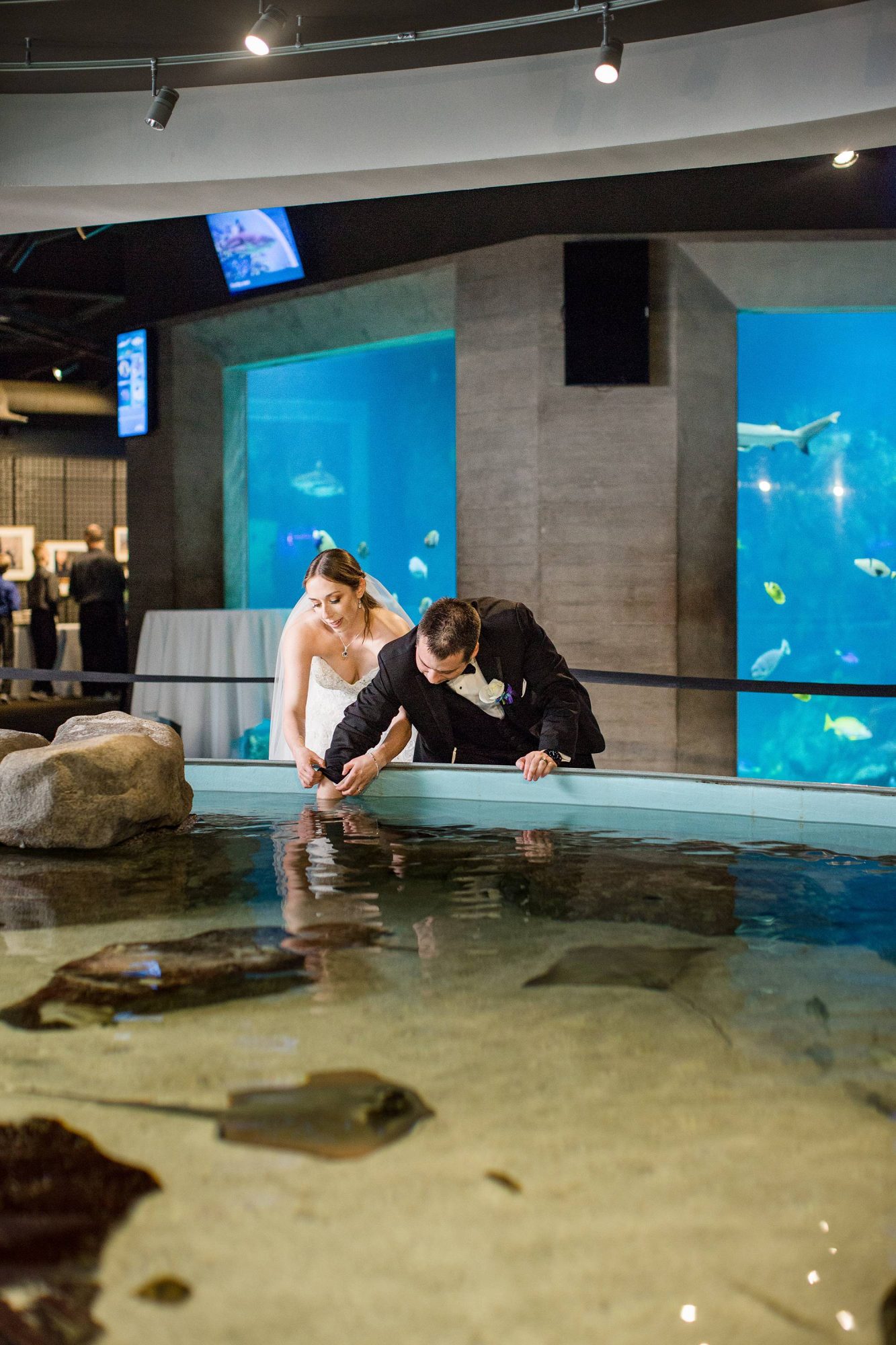 Toledo Zoo Aquarium wedding reception photographs