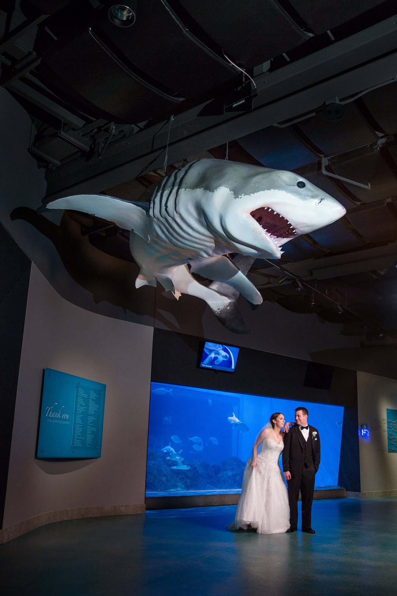 Toledo Zoo Aquarium wedding photographs