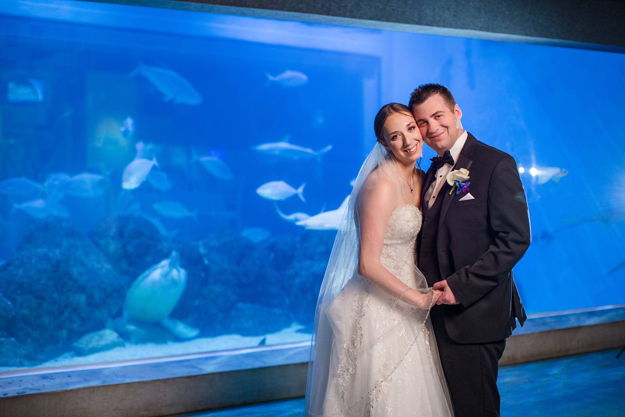 Toledo Zoo Aquarium wedding photographs