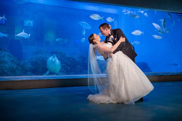 Toledo Zoo Aquarium Wedding Photographs // Josh and Diana
