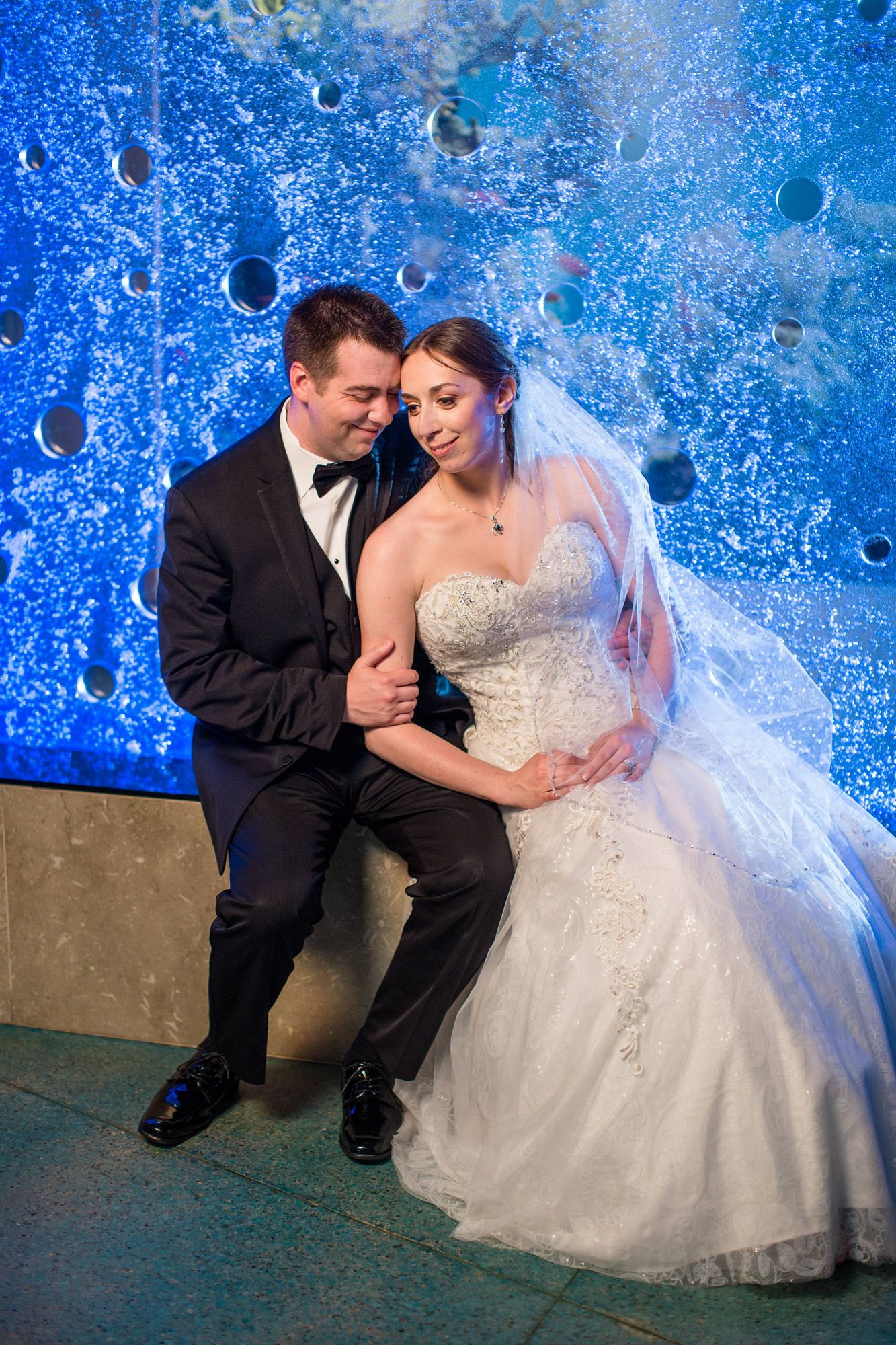 Toledo Zoo Aquarium wedding photographs