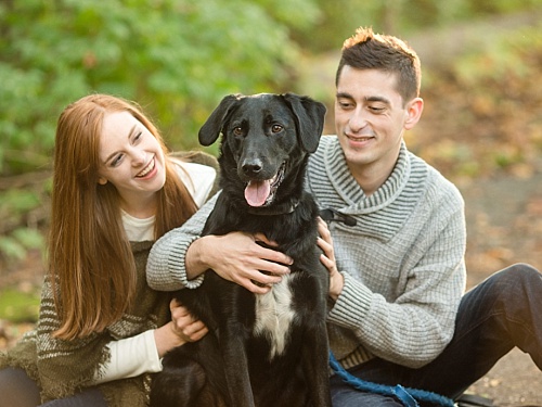 Should you bring your dog to your session?