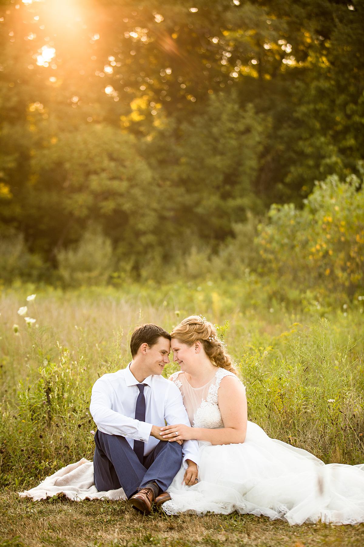 Wedding photographs at Lincoln Brick Park, Grand Ledge Michigan