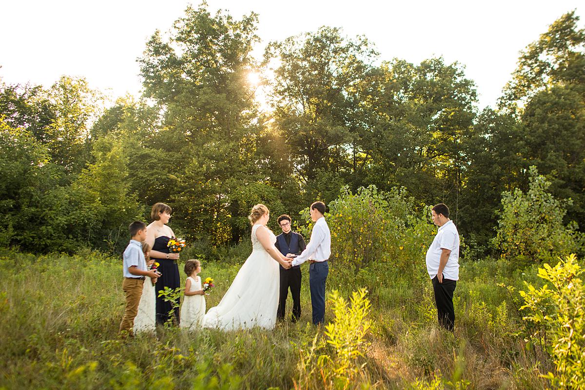 Wedding photographs at Lincoln Brick Park, Grand Ledge Michigan