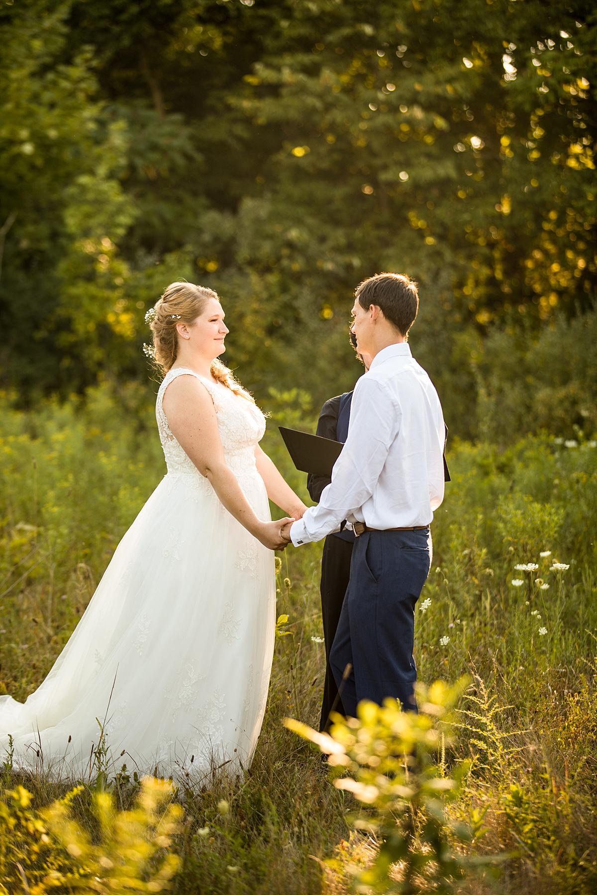 Wedding photographs at Lincoln Brick Park, Grand Ledge Michigan