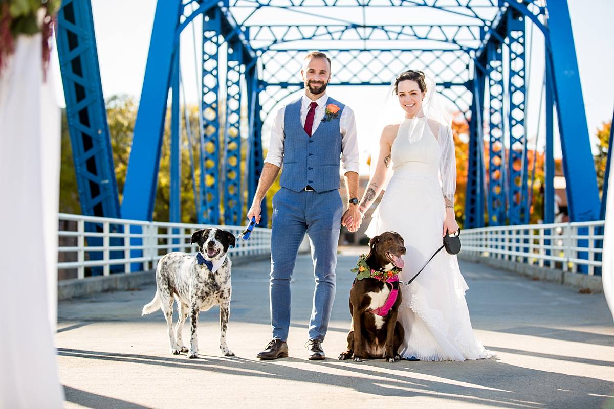 Bride and groom with dogs wedding photographs at the Grand Rapids Blue Bridge