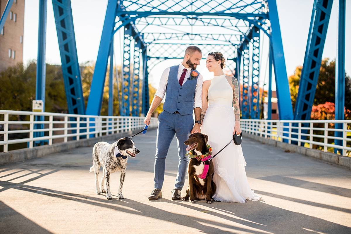 Bride and groom with dogs wedding photographs at the Grand Rapids Blue Bridge
