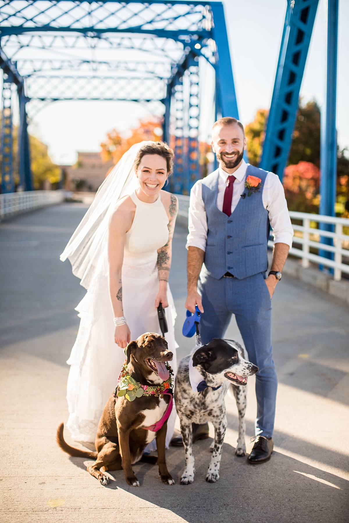 Bride and groom with dogs wedding photographs at the Grand Rapids Blue Bridge