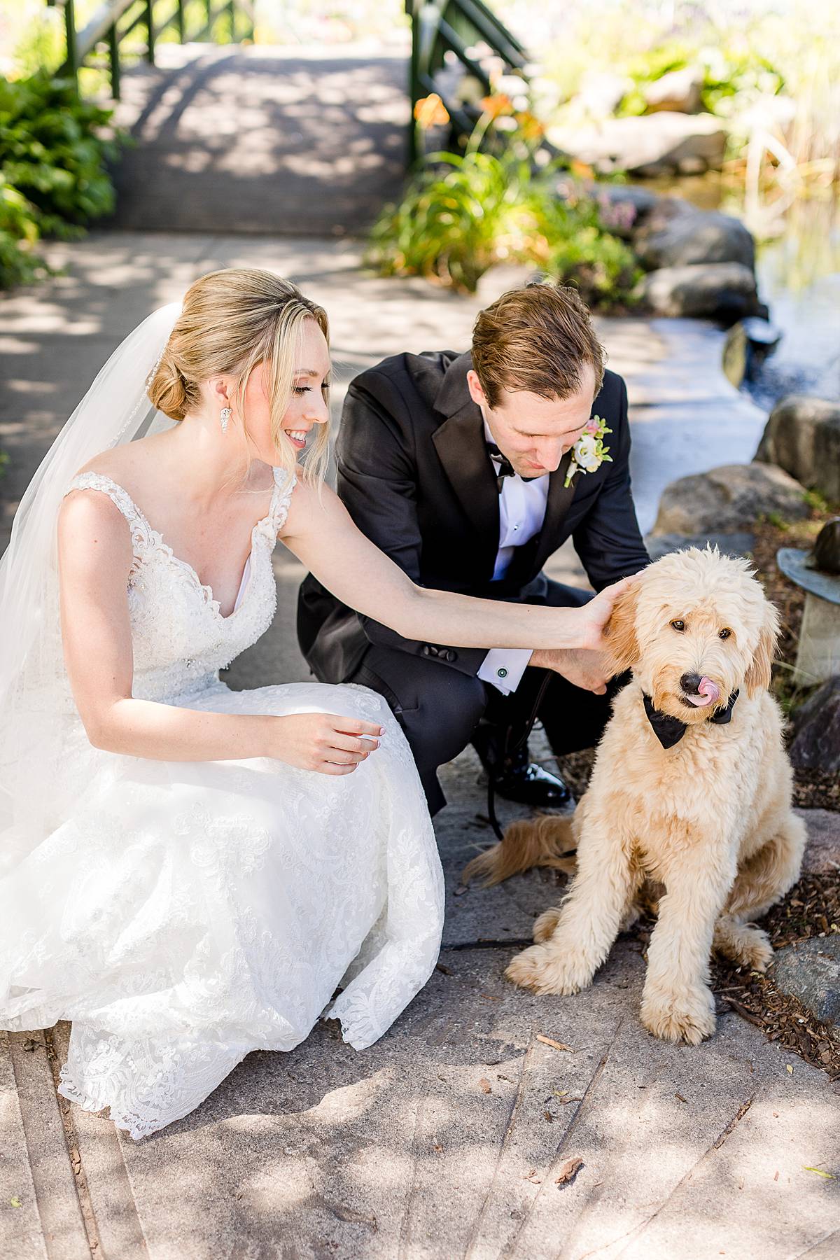 Michigan State University Wedding photographs with dog